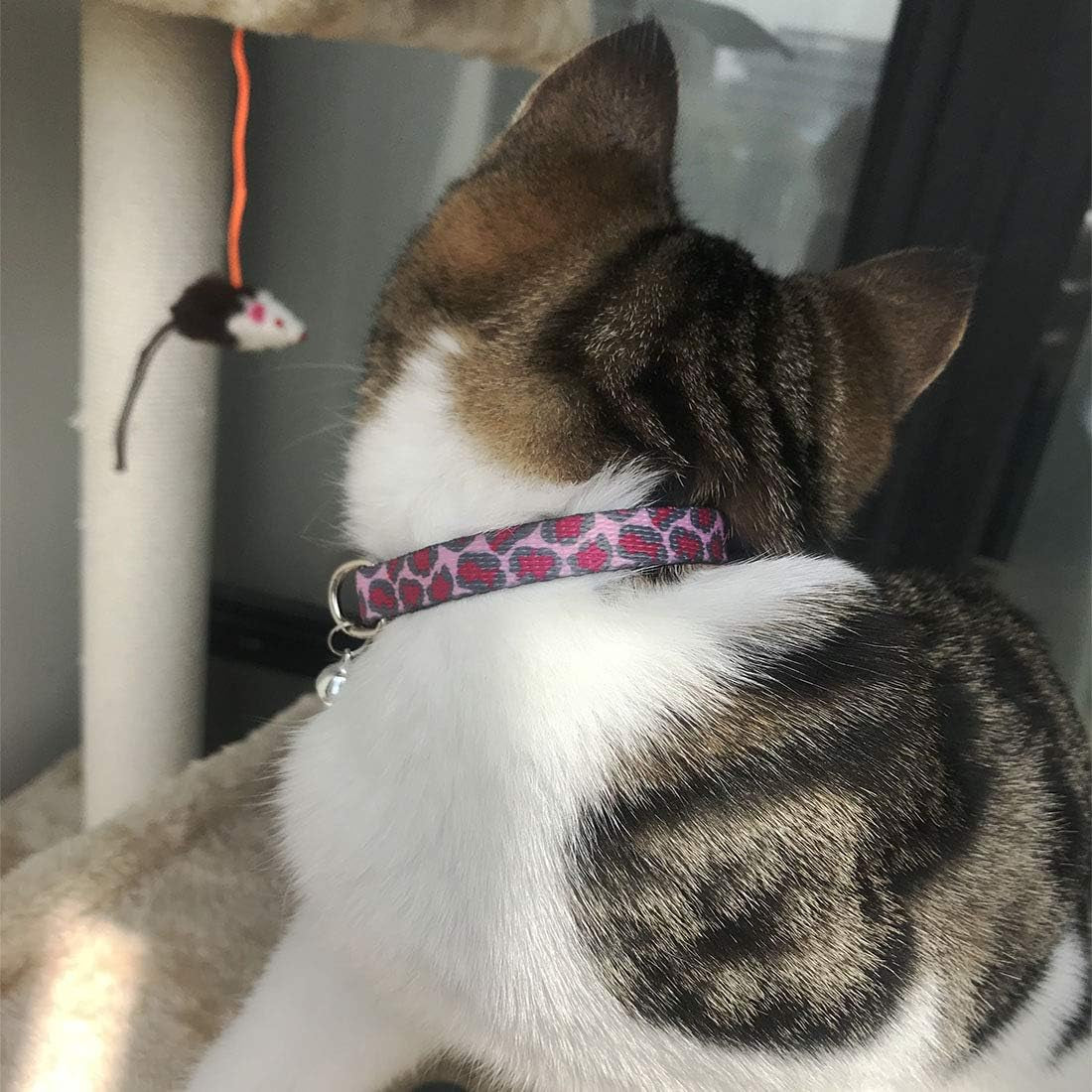 4 Pack Kitten Collars with Bells, Safety Breakaway Buckle, Leopard