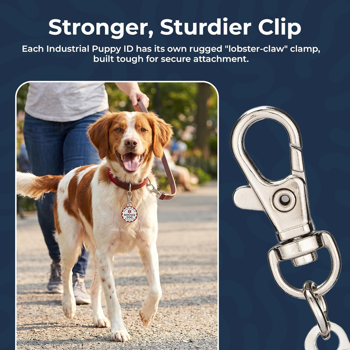 Service Dog Tag, 2 Pack: Metal Pet ID Tags for Service Animals Lettering and Red Enamel Trim